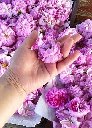 Роза, сушена🌸🌿
