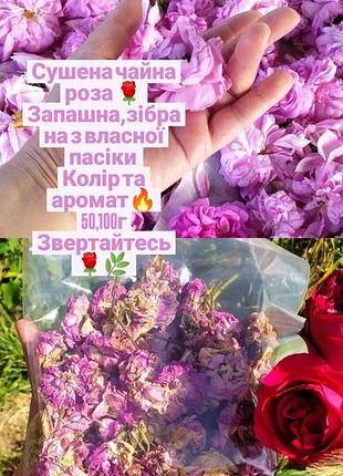 Роза, сушена🌸🌿 2