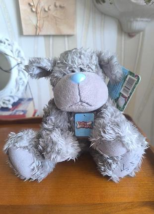 Оригінальний колекційний собачка tatty puppy (me to you) від carte blanche