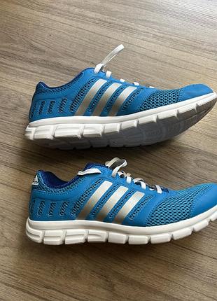 Кросівки чоловічі adidas