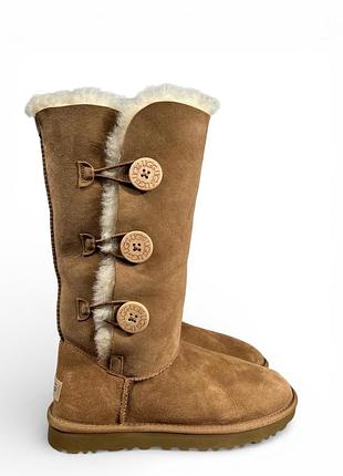 Высокие зимние сапоги угги на пуговицах овчина ugg baileyьер triplet ii