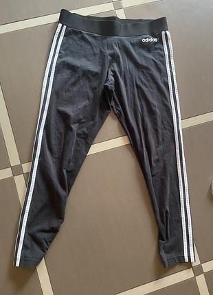 Лосини з лампасами adidas