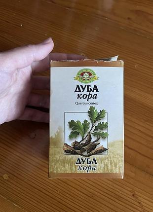 Кора дуба. лікарські трави.