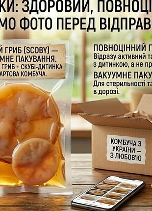 Гриб чайний, еліксир здоров'я