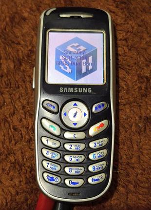 Samsung sgh x100