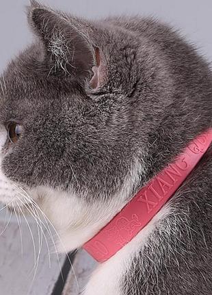 Ошийник для кота