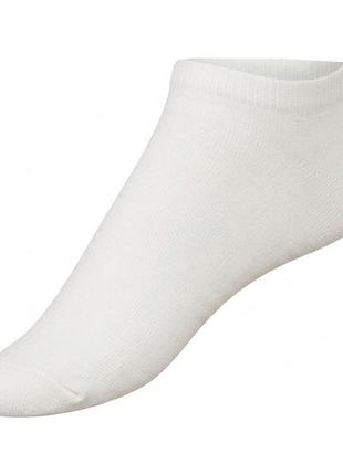 Шкарпетки короткі для жінки esmara lycra® 375231 39-42 білий