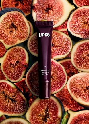 Блиск для губ lipss fig, smells like money