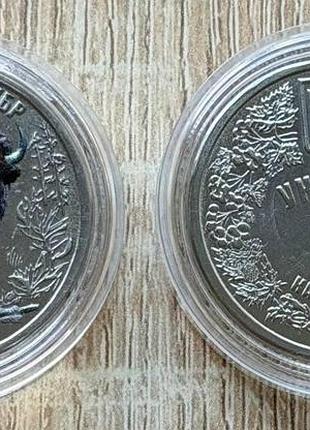 Сувенірна монета "зубр" 5 карбованців 2024