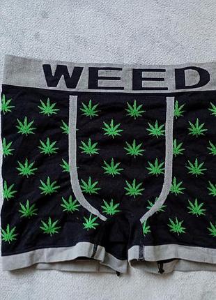 Брендовые боксеры webed.