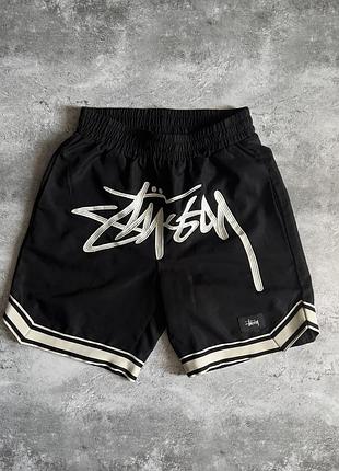 Шорти stussy (m)