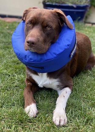 Надувний комір buster
