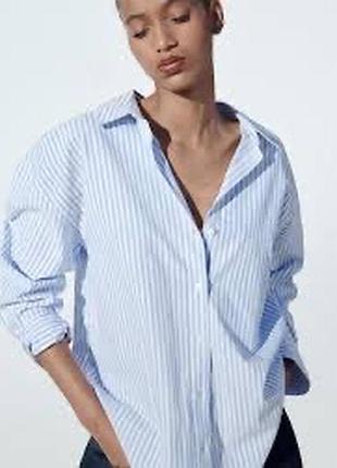 Massimo dutti сорочка