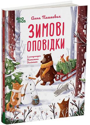 Зимние оповещения. дтл018