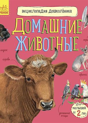 Домашние животные