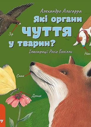 Які органи чуття у тварин?