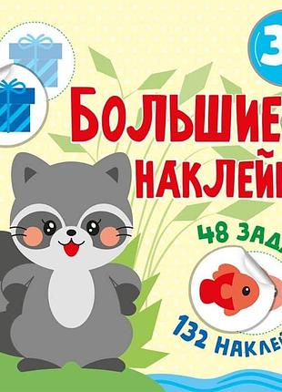 Наклей енота