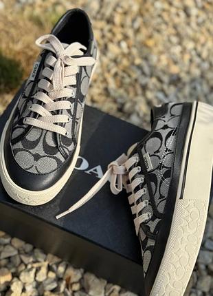 Кеди coach