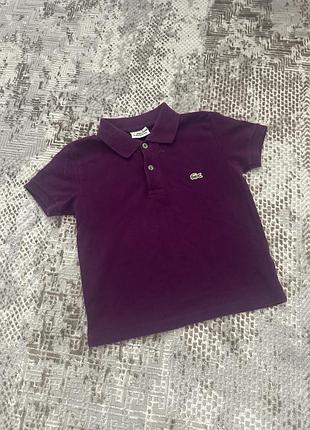 Поло lacoste