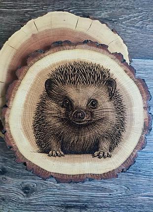 Декор із дерева / їжачок / їжак / дуб / handmade 🦔 19*20см