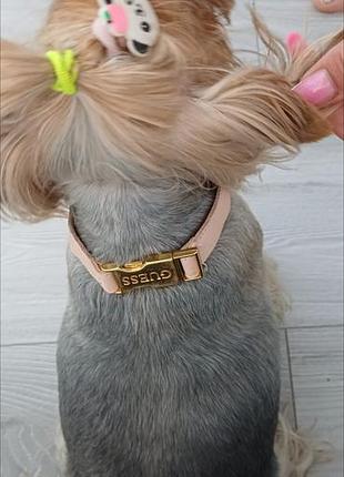 Нашийник шкіряний guess  оригинал