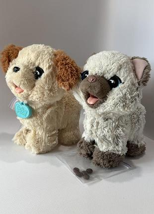 Интерактивная игрушка hasbro furreal friends котик собачка