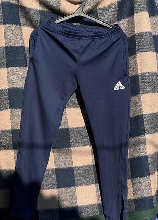 Спортивні штани adidas чоловічі сині, оригінал, розмір m
