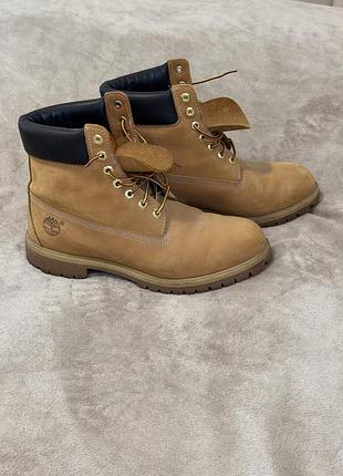 Черевики з нубуку timberland premium