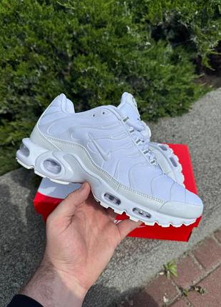 Кросівки nike tn