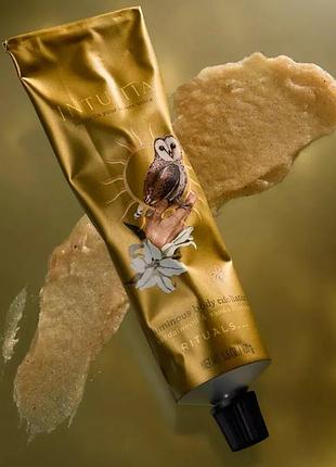 Intuitia luminous body exfoliator освітлювальний цукровий скраб для тіла