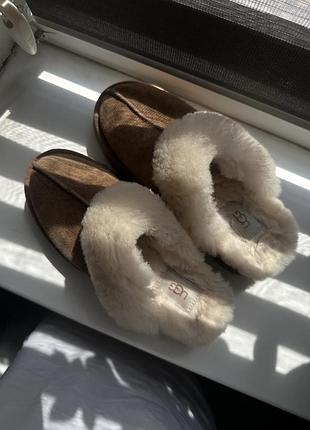 Капці ugg 38 розмір