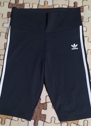 Оригінальні велосипедки adidas originals adicolor classics primeblue (m / 46) в ідеалі