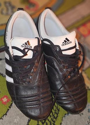Сороконожки adidas adinova