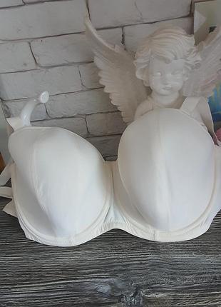 Новый бюстгальтер от бренда curvy kate