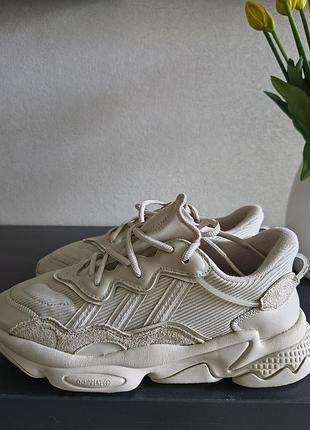 Кросівки adidas