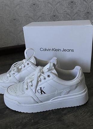 Кеди кросівки орігінал calvin klein 38р