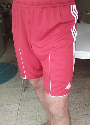 Новые мужские спортивные шорты adidas condivo short red