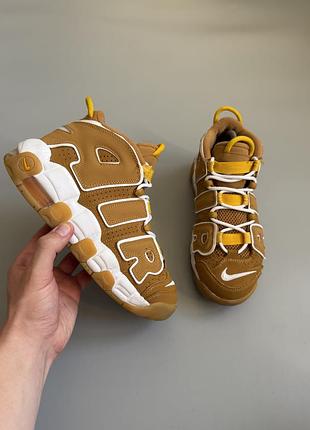 Nike air more uptempo brown 39(24.5cm) air foamposite air pippen