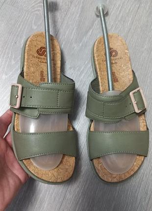Жіночі шльопанці clarks