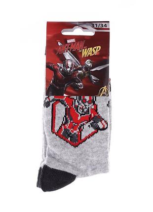 Носки marvel buste ant-man светло-серый дит 35-38, арт.83895248-3