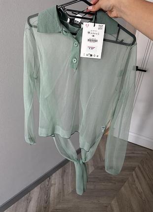 Поло limited edition zara