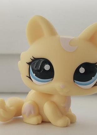 Littlest pet shop lps пет шоп петшоп лпс 3д кішка кіт фігурка іграшка фігурки іграшки litlest pet shop petshop пет шопи петшопи петс шоп петсшоп los