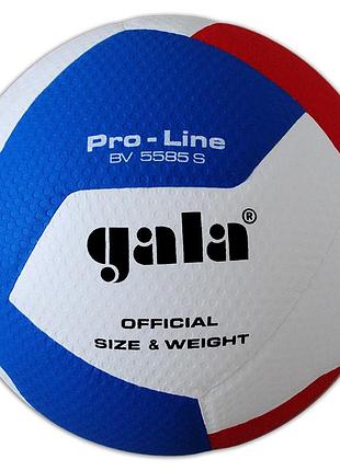 Мяч волейбольный gala pro-line 12 bv5585s