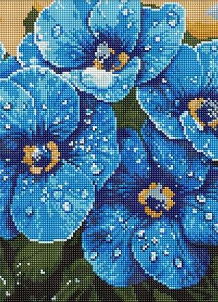 Алмазная мозаика - фиалки в росе ©art_selena_ua