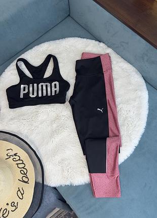 Набір комплект топ лосіни лосини легінси puma жіночі м