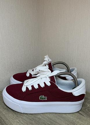 Кеди lacoste ziane platform