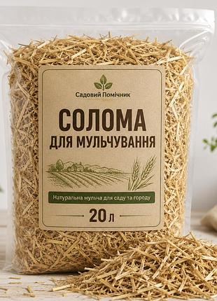 Солома для мульчування 20 л для саду, городу та теплиці — захист ґрунту від пересихання і бур’янів