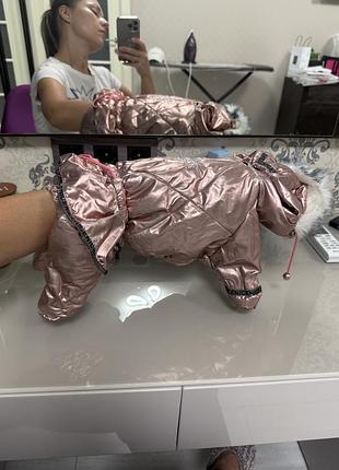 Комбез для пітомця заміри на фото