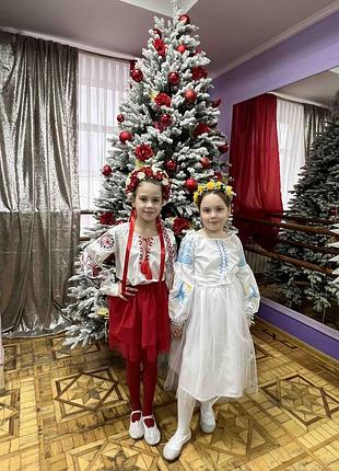 Сукня нарядна вишиванка