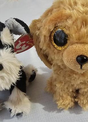 Мягкие игрушки от ty beanie boos в виде золотистой собачки noodles с большими блестящими глазами и ty beanie baby pretzels, собака породы шнауцер.